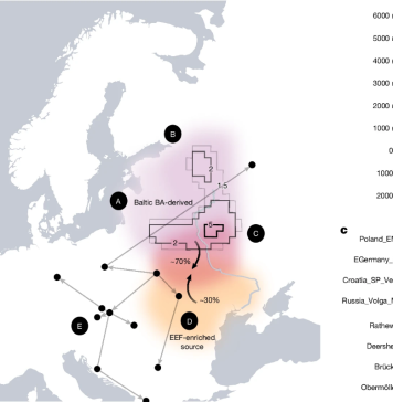 Slavs originated in Ukraine and Belarus. They replaced 80% of local gene pool in Eastern Germany, Poland, and Croatia, DNA study shows